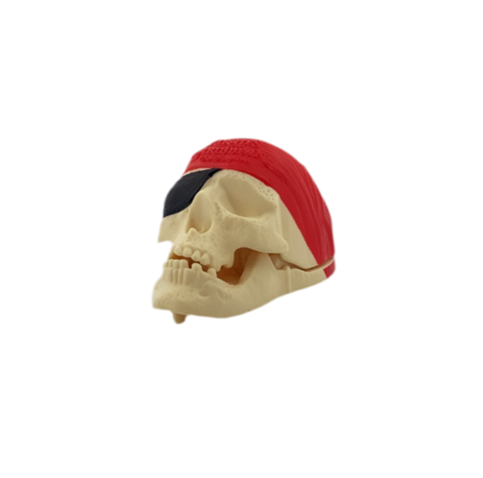 Disney’s Pirates of the Caribbean Skull 8