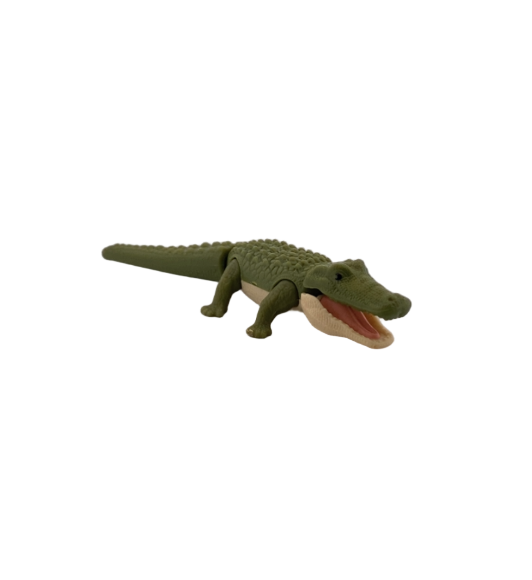Into the Wild Stan the Alligator