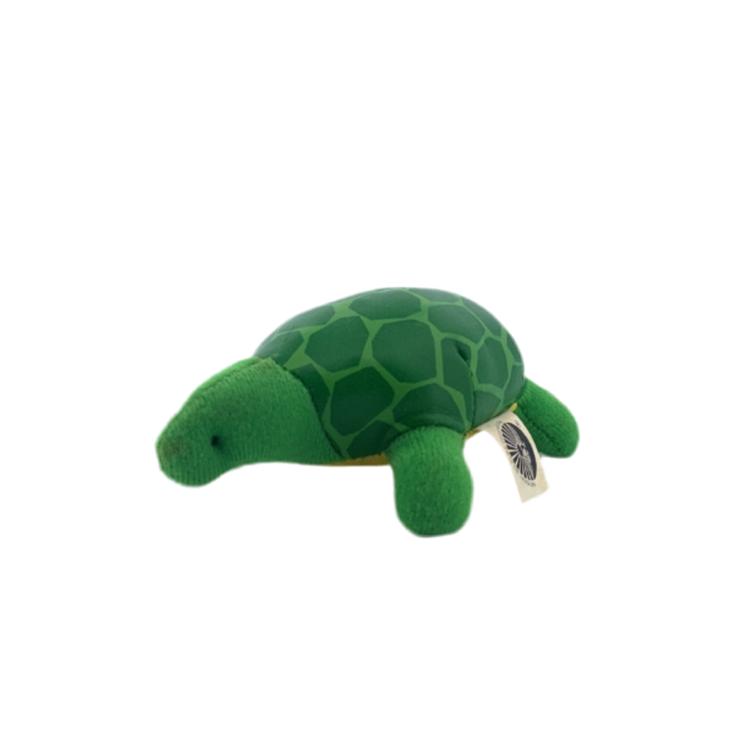 National Wildlife Galapagos Tortoise