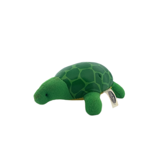 National Wildlife Galapagos Tortoise