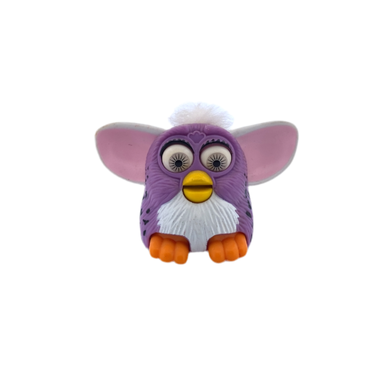 Fury Spotted Lavender with White Hair
