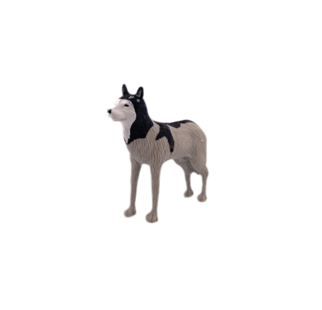 Jack-in-the-Box Husky