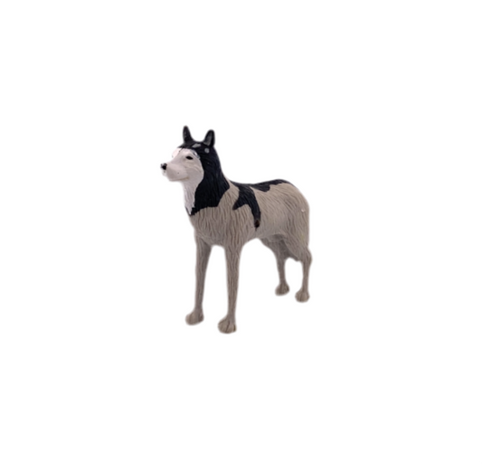 Jack-in-the-Box Husky