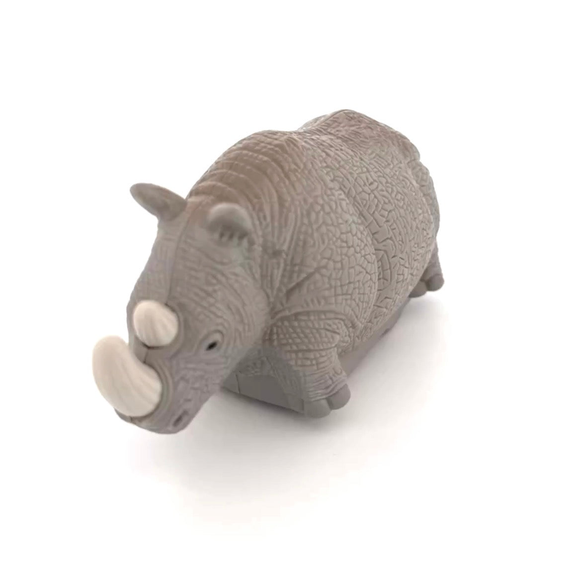 Disney's Animal Kingdom Rhino