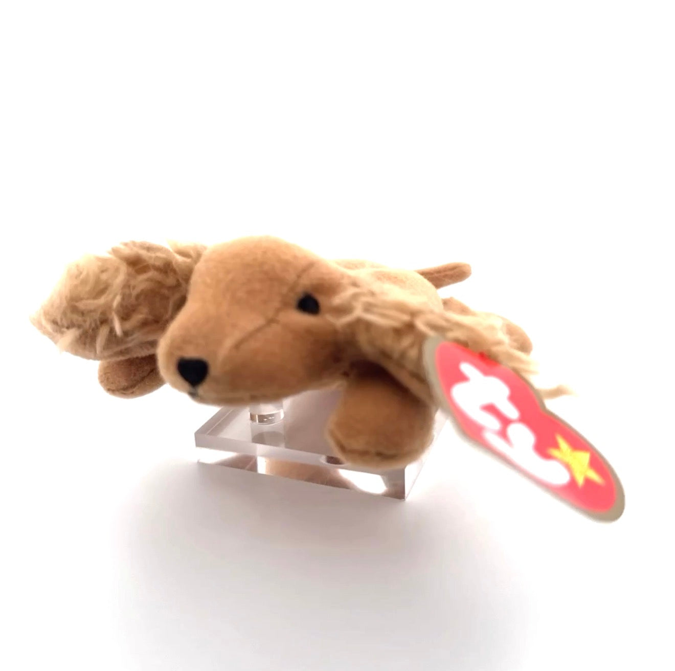 Ty Beanie Babies Spunky the Cocker Spaniel