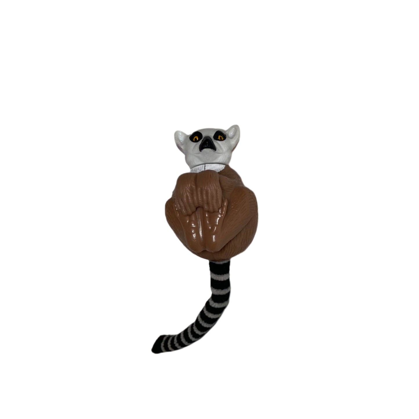 Disney's Animal Kingdom Ring-Tailed Lemur 5